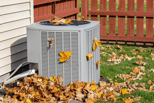 Best Local HVAC Companies  in Hull, IA